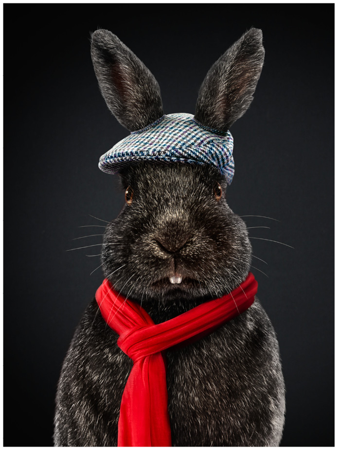 Schwarzes Kaninchen mit karierter Schiebermüzue und rotem Schal