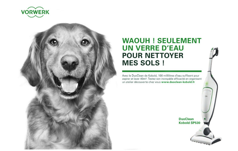 schwarz weiss Portraits von einem Hund der erstaunte Begeisterung ausdrücken